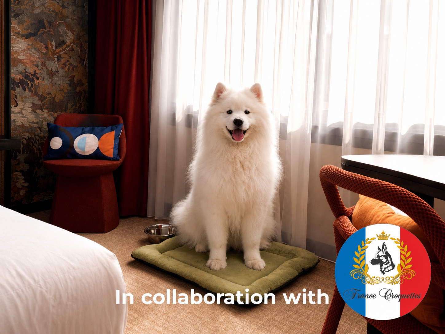 Pet-Friendly Stay at Mercure Dijon Centre Clemenceau