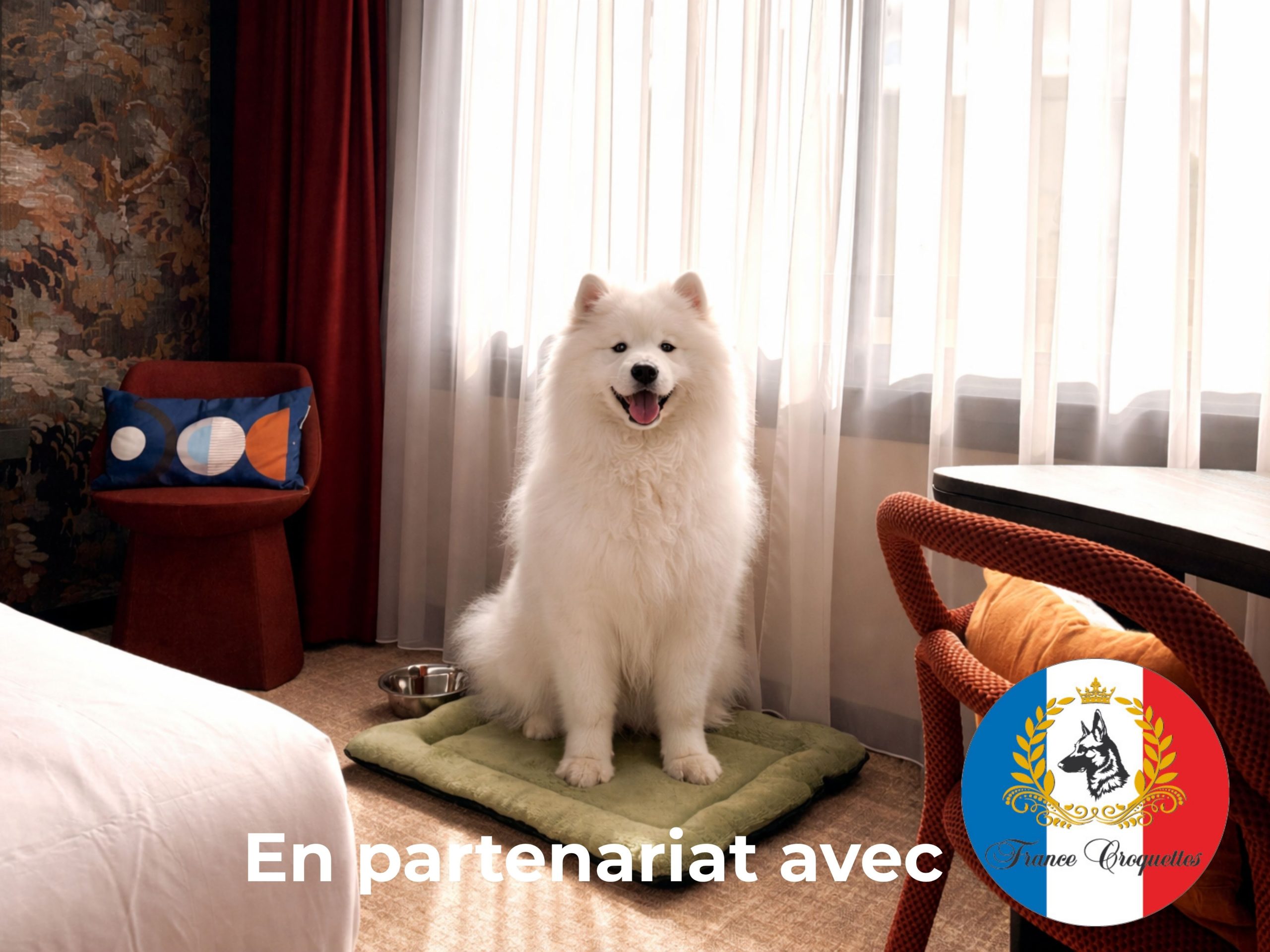 Séjour avec son chien au Mercure Dijon Centre Clemenceau