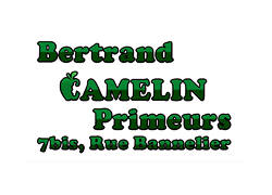 logo-camelin